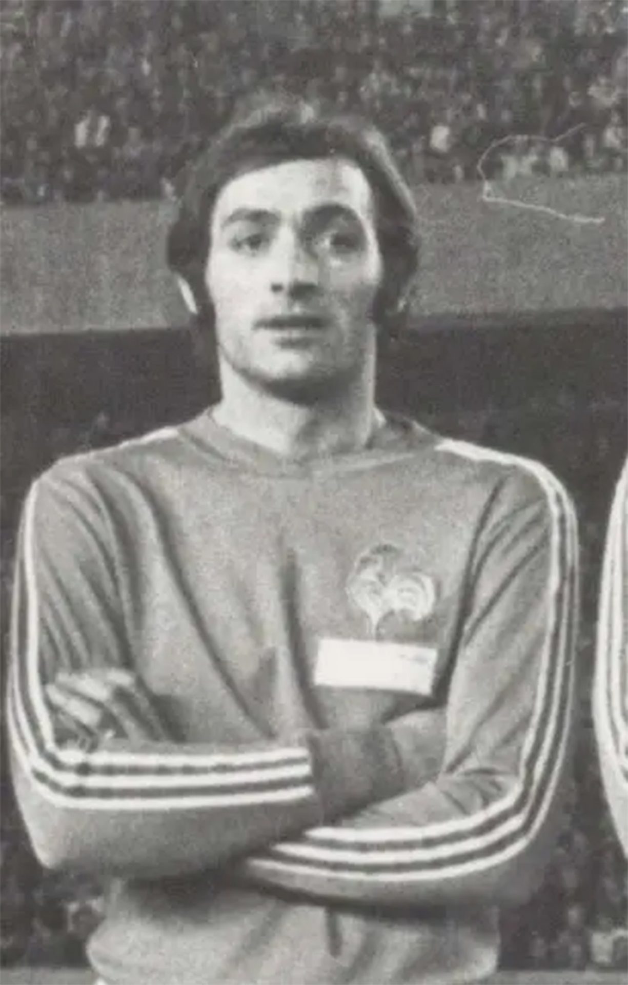Albert Vanucci