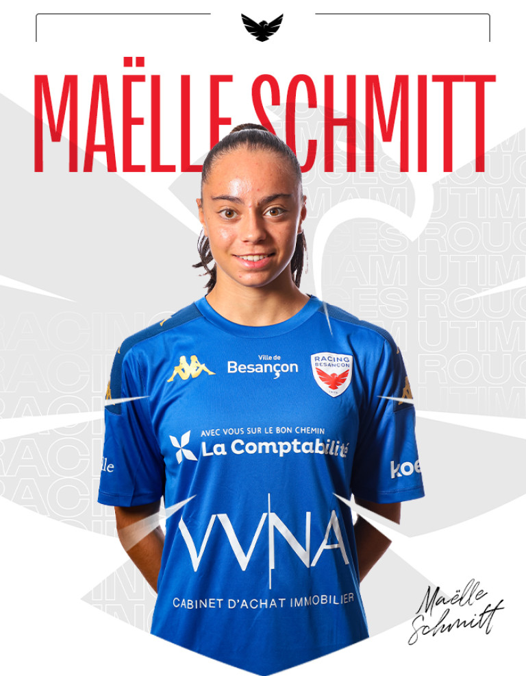 Miniature Schmitt