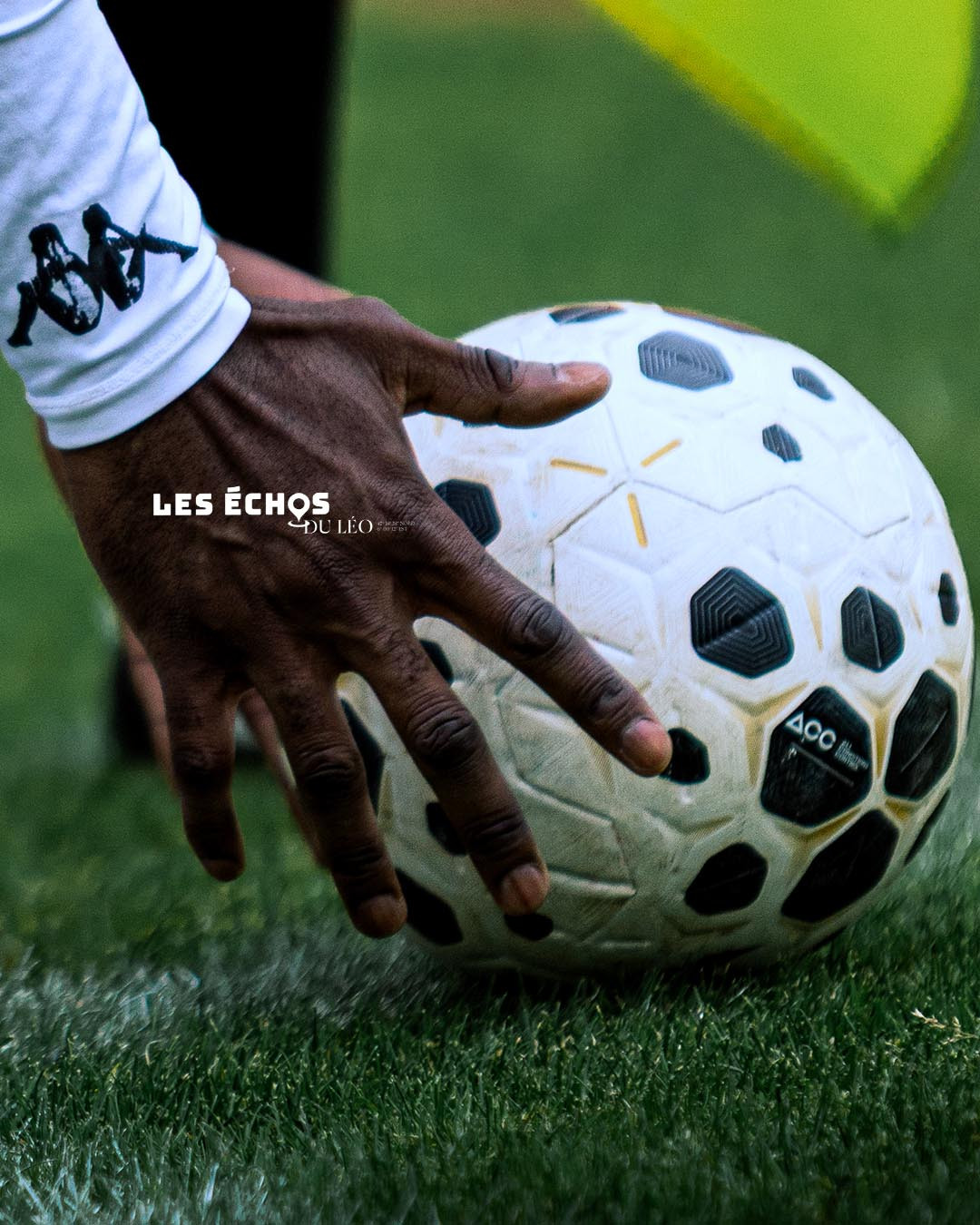 ÉCHOS DU LÉO 1 Copie
